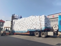 把握機(jī)遇、鉚足干勁、承勢(shì)而上